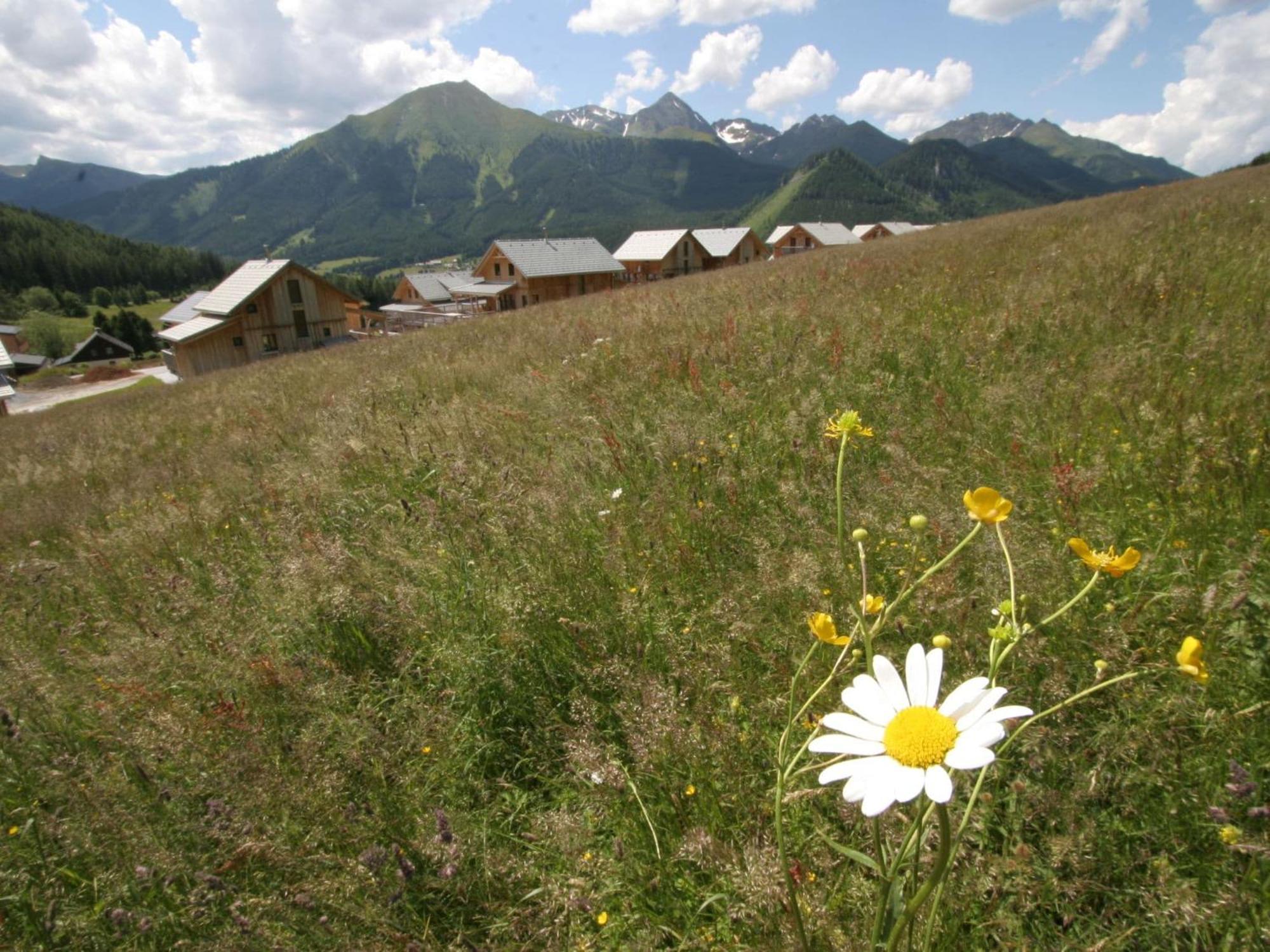 Nice Chalet In Hohentauern Styria With Sauna Villa Dış mekan fotoğraf